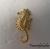 Hippocampe